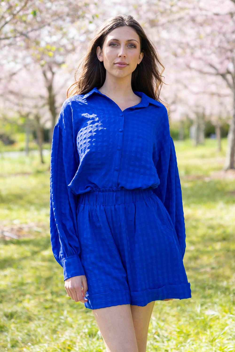 blue gingham cuffed short