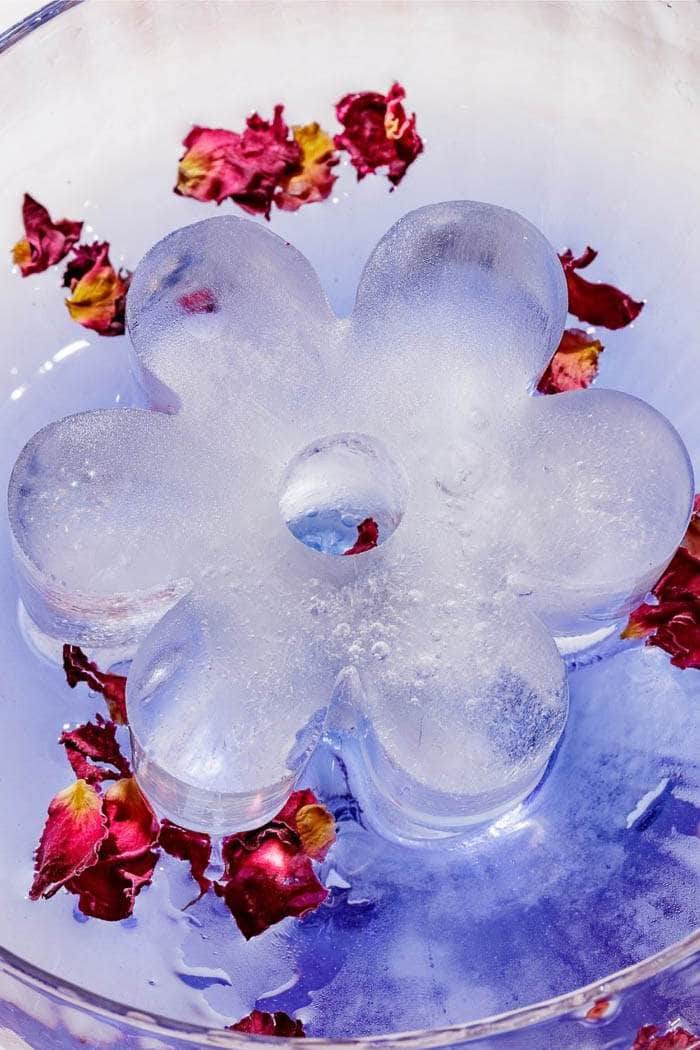 Drinks Plinks Ice Cube Tray Retro Daisy Pink 4