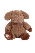 brown dog wheatbag kids